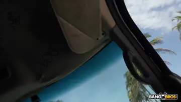 Dirtydanii 69 & Johnny Love - Bang Bus photo 2
